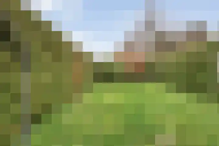 Veenakker 42 Beilen thumbnail 35