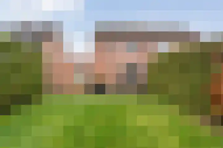Veenakker 42 Beilen thumbnail 37