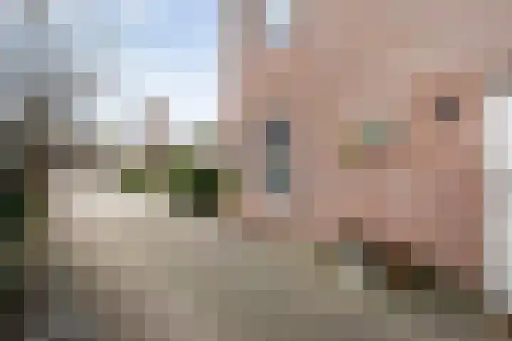 Veenakker 42 Beilen thumbnail 38