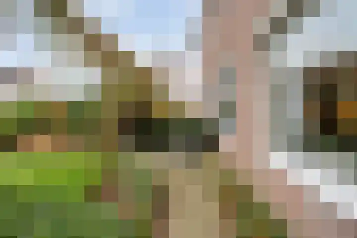 Veenakker 42 Beilen thumbnail 40