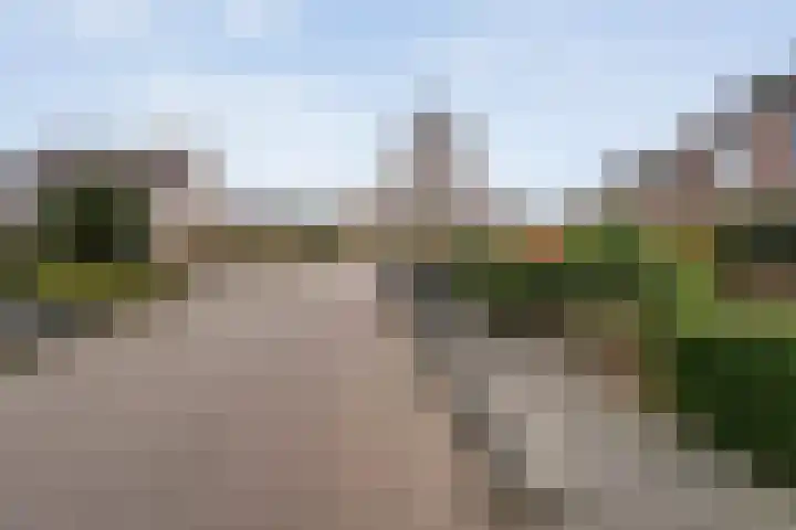 Veenakker 42 Beilen thumbnail 45