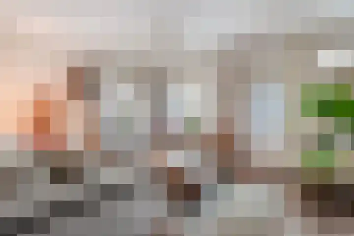 Veenakker 42 Beilen thumbnail 5