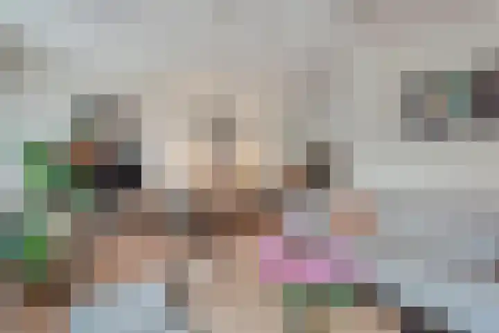 Veenakker 42 Beilen thumbnail 7