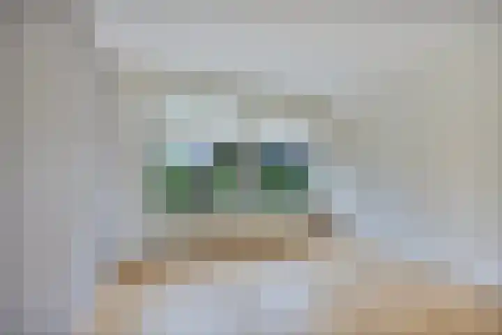 Veenakkers 18 Gieterveen thumbnail 11