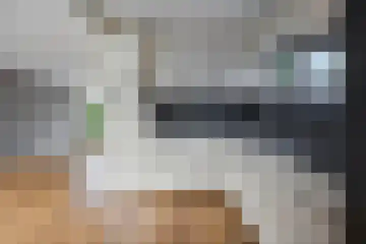 Veenakkers 18 Gieterveen thumbnail 12