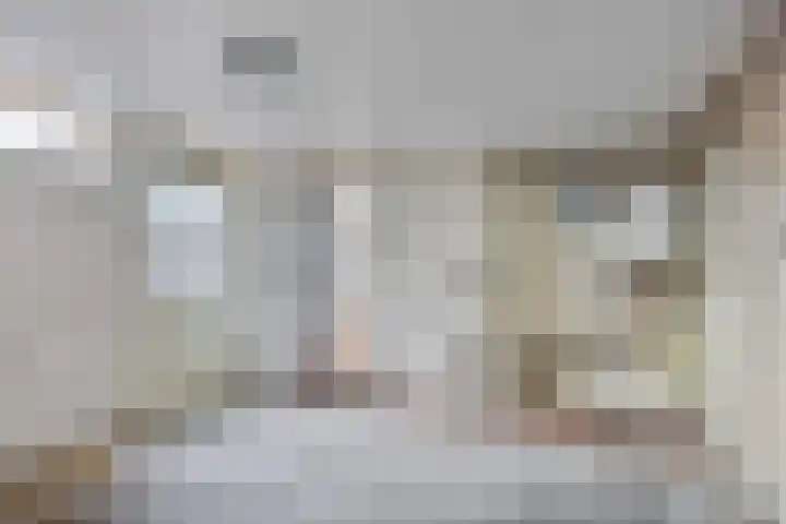Veenakkers 18 Gieterveen thumbnail 15