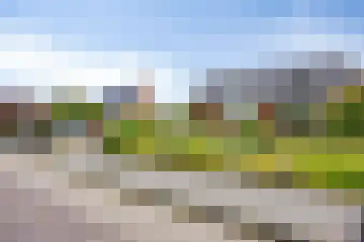 Veenakkers 18 Gieterveen thumbnail 22