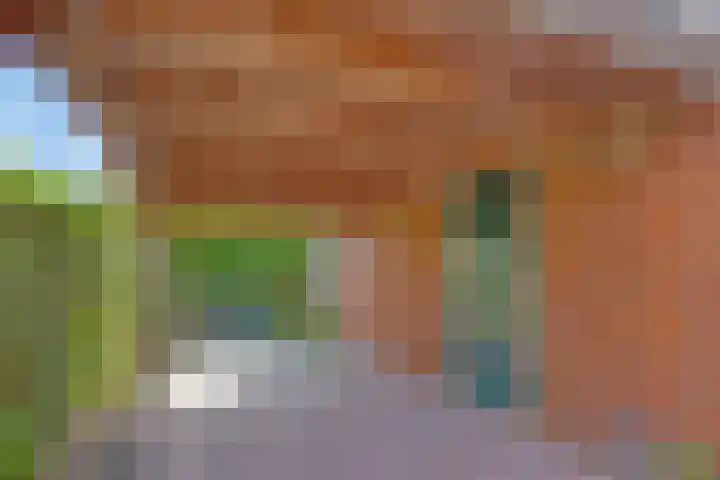 Veenakkers 18 Gieterveen thumbnail 23