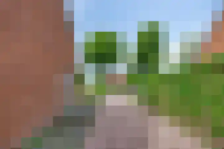 Veenakkers 18 Gieterveen thumbnail 24