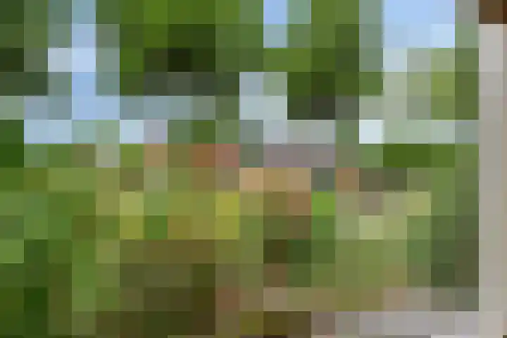 Veenakkers 18 Gieterveen thumbnail 25