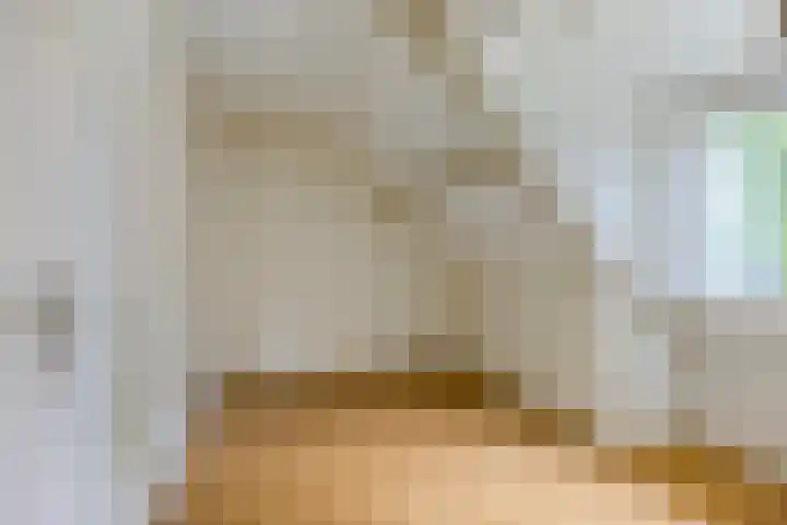 Veenakkers 18 Gieterveen thumbnail 26