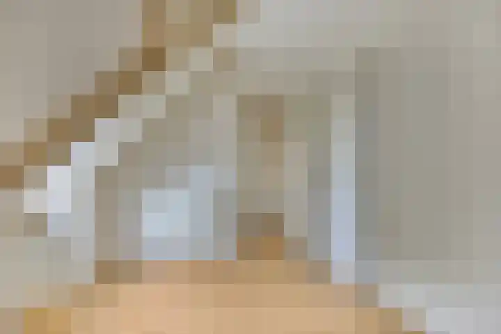 Veenakkers 18 Gieterveen thumbnail 27