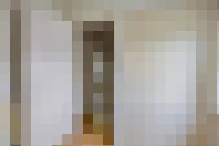 Veenakkers 18 Gieterveen thumbnail 29