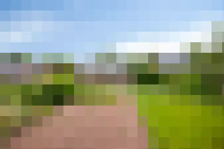 Veenakkers 18 Gieterveen thumbnail 30