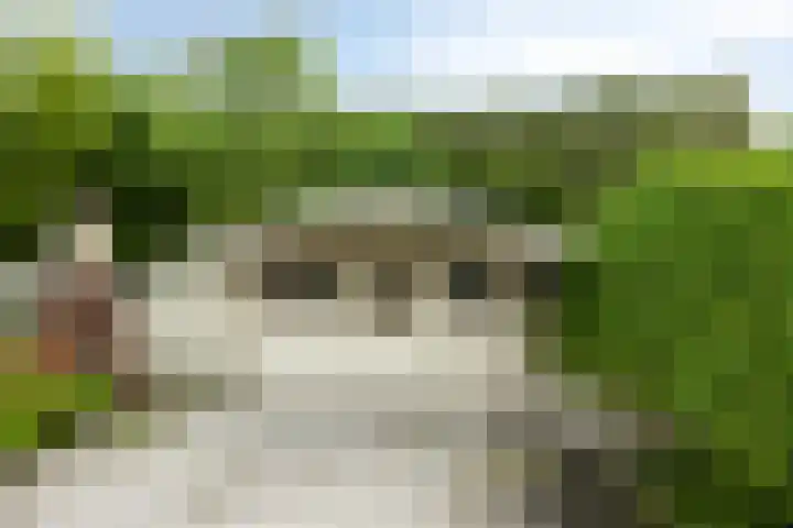 Veenakkers 18 Gieterveen thumbnail 31