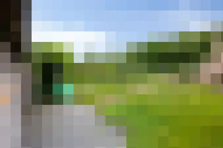 Veenakkers 18 Gieterveen thumbnail 32