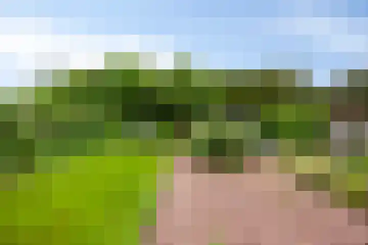 Veenakkers 18 Gieterveen thumbnail 33