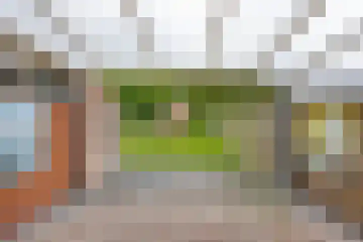 Veenakkers 18 Gieterveen thumbnail 34