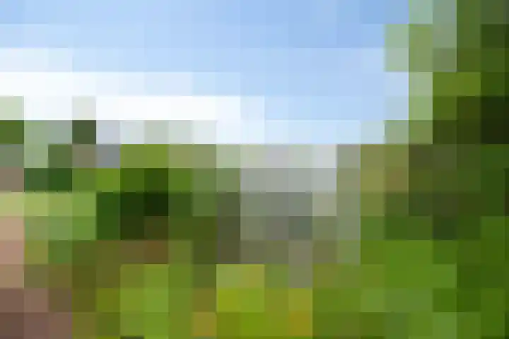 Veenakkers 18 Gieterveen thumbnail 35
