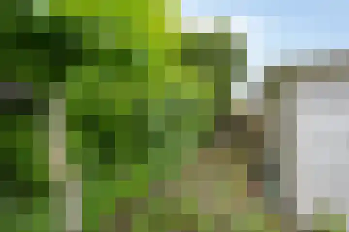 Veenakkers 18 Gieterveen thumbnail 36
