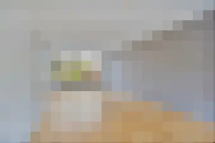 Veenakkers 18 Gieterveen thumbnail 4