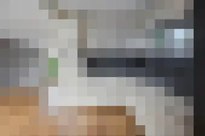 Veenakkers 18 Gieterveen thumbnail 5