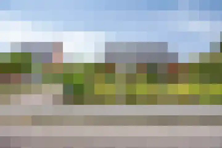 Veenakkers 18 Gieterveen thumbnail 7