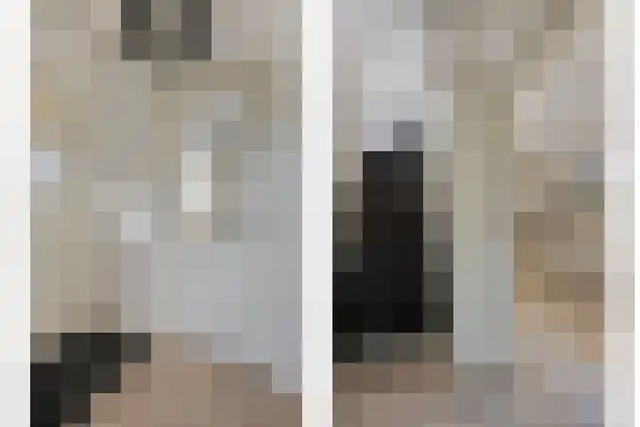 Veenakkers 2 Gieterveen thumbnail 12
