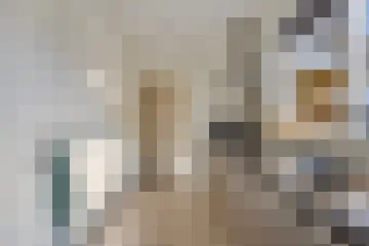 Veenakkers 2 Gieterveen thumbnail 14
