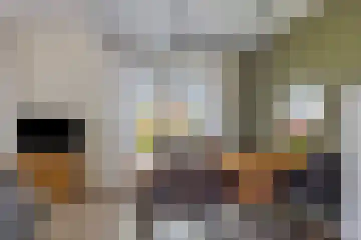 Veenakkers 2 Gieterveen thumbnail 19