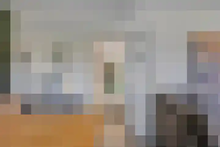 Veenakkers 2 Gieterveen thumbnail 20
