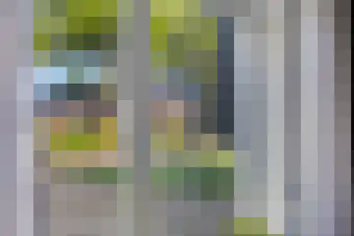 Veenakkers 2 Gieterveen thumbnail 21
