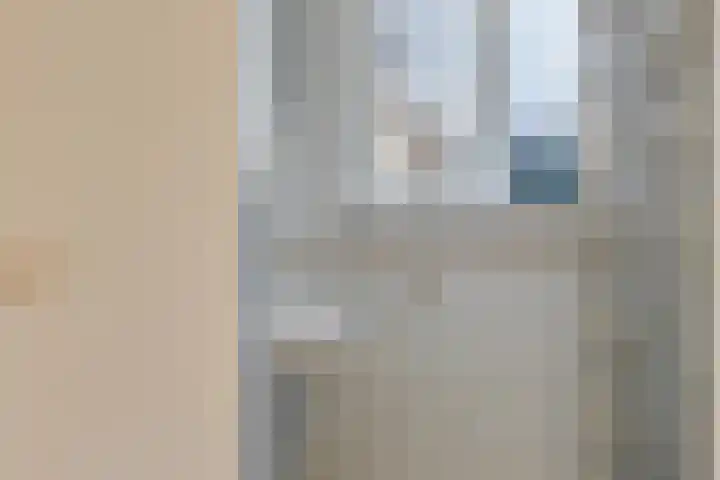 Veenakkers 2 Gieterveen thumbnail 23