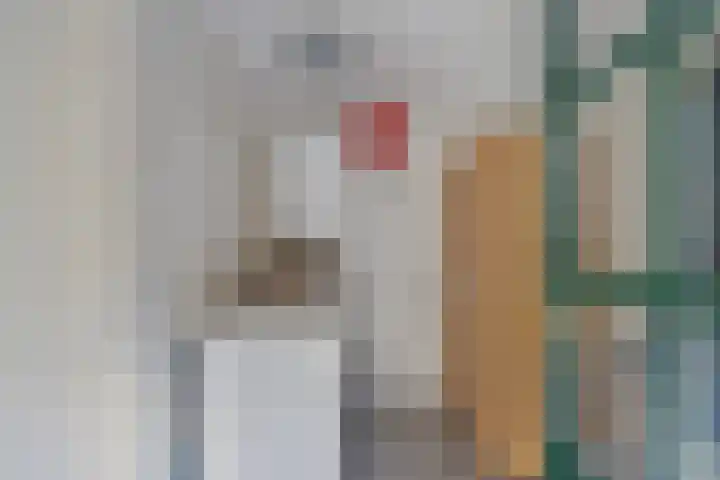 Veenakkers 2 Gieterveen thumbnail 25