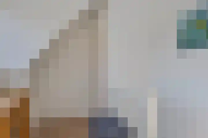 Veenakkers 2 Gieterveen thumbnail 26