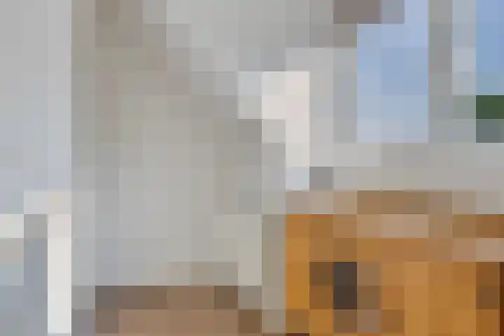 Veenakkers 2 Gieterveen thumbnail 27
