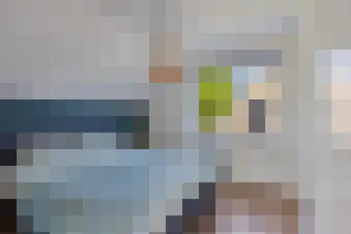 Veenakkers 2 Gieterveen thumbnail 28
