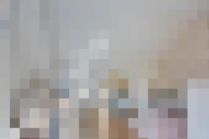Veenakkers 2 Gieterveen thumbnail 30