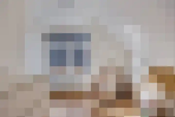 Veenakkers 2 Gieterveen thumbnail 31