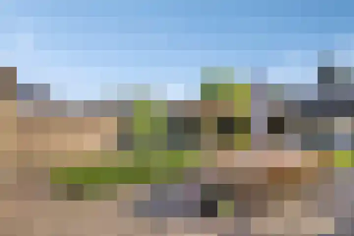 Veenakkers 2 Gieterveen thumbnail 34