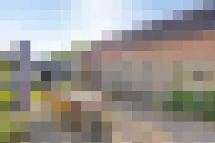 Veenakkers 2 Gieterveen thumbnail 35