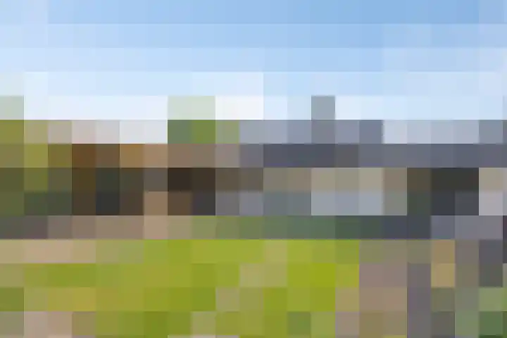 Veenakkers 2 Gieterveen thumbnail 36