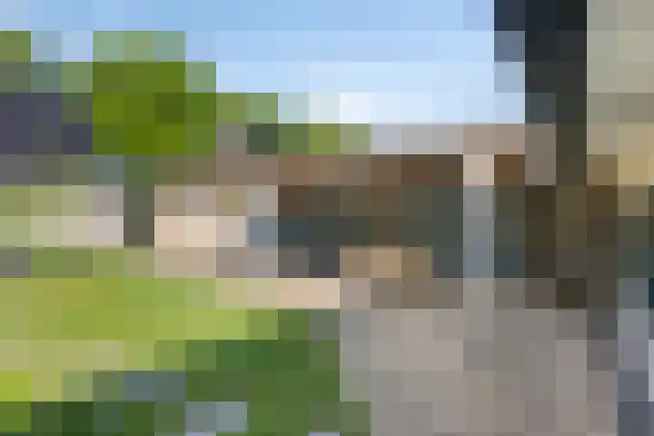 Veenakkers 2 Gieterveen thumbnail 40