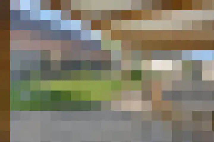 Veenakkers 2 Gieterveen thumbnail 41