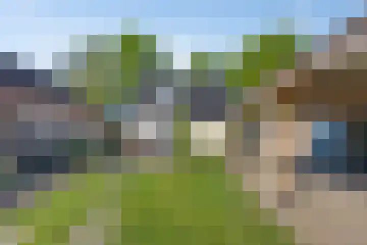 Veenakkers 2 Gieterveen thumbnail 42