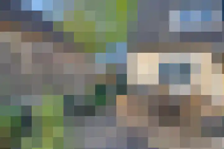 Veenakkers 2 Gieterveen thumbnail 43