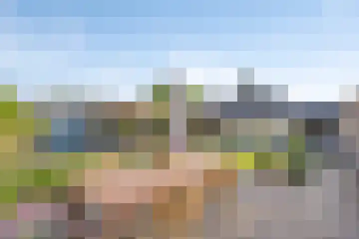 Veenakkers 2 Gieterveen thumbnail 5