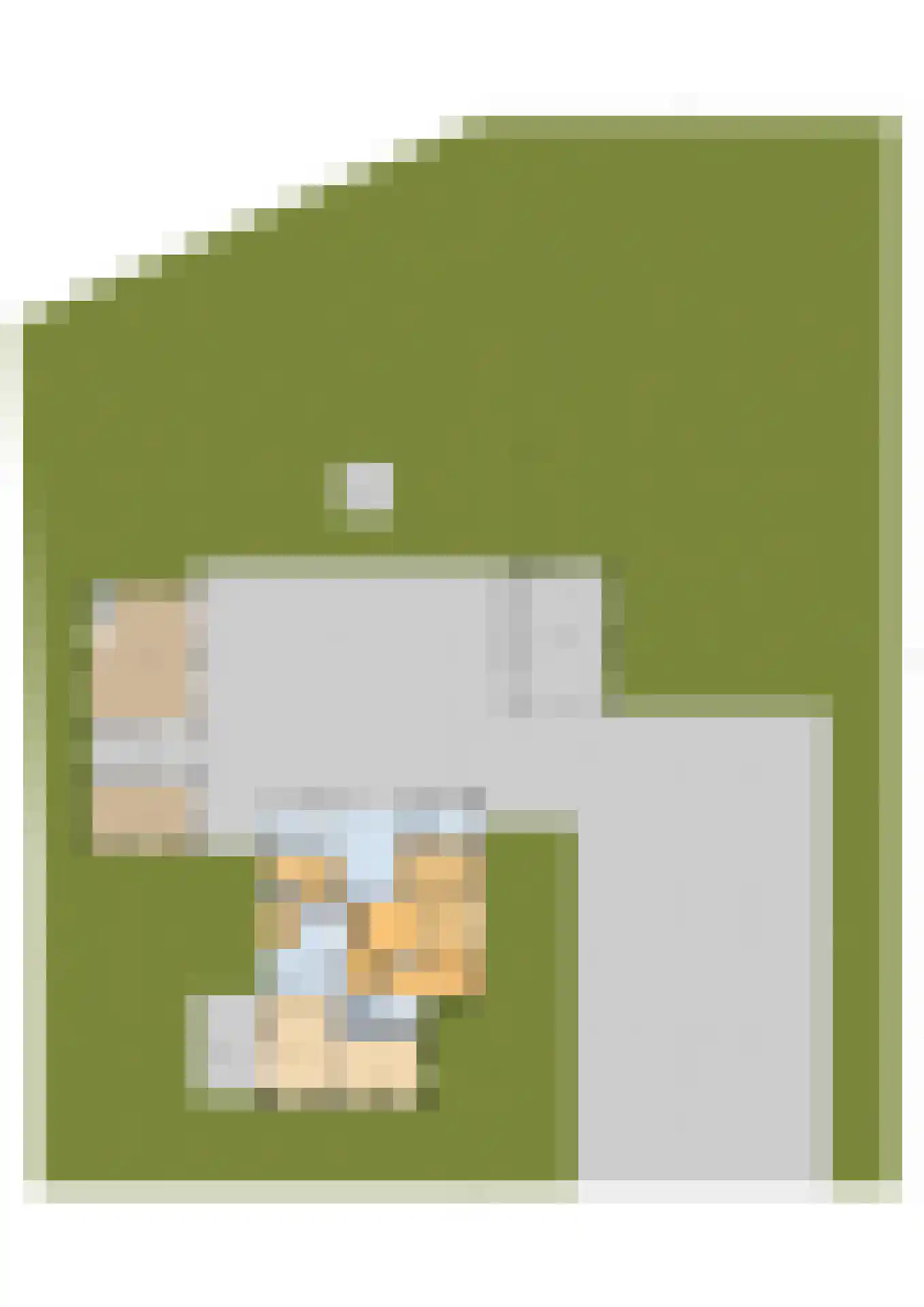 Veenakkers 23 Gieterveen thumbnail 108