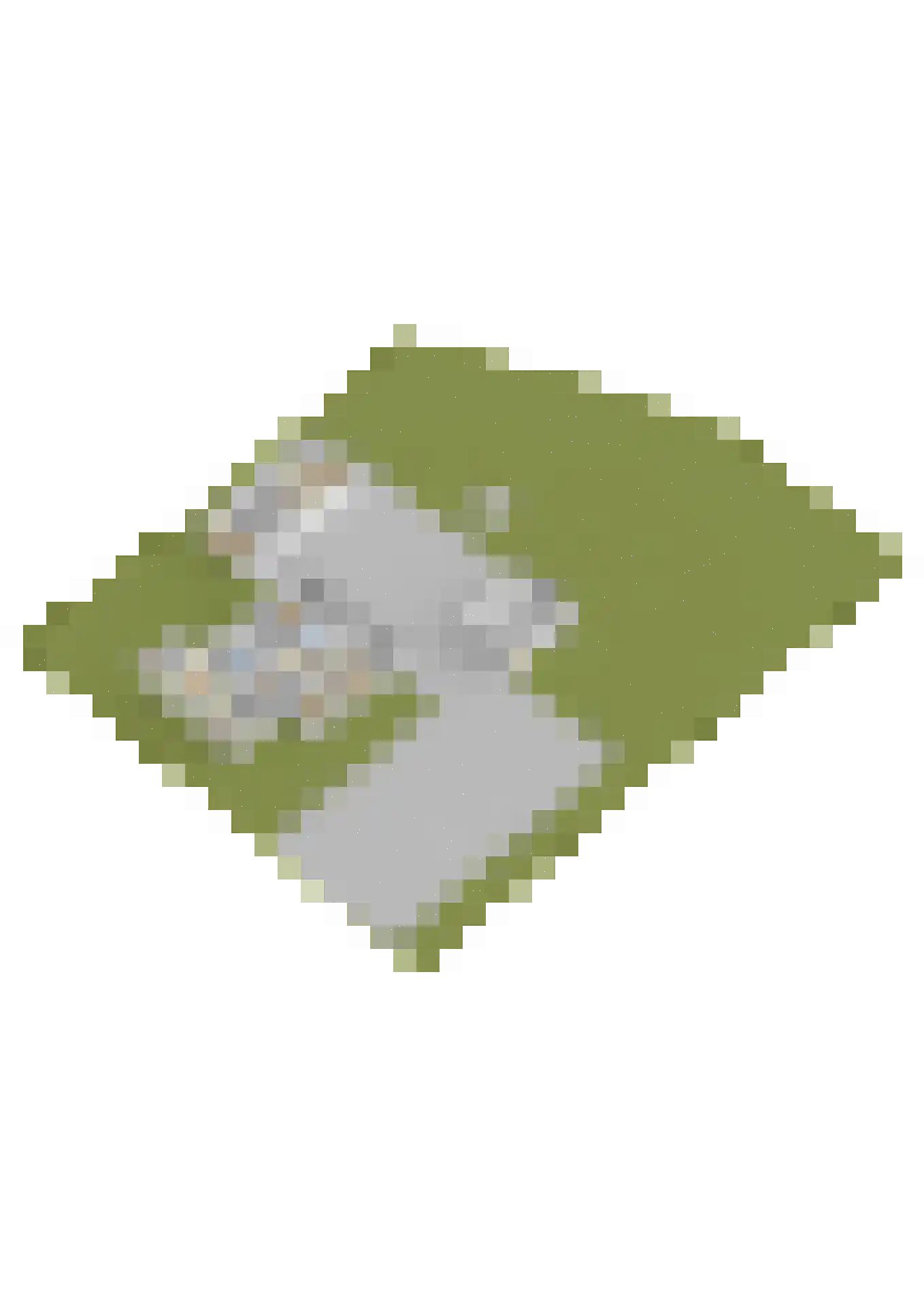 Veenakkers 23 Gieterveen thumbnail 109