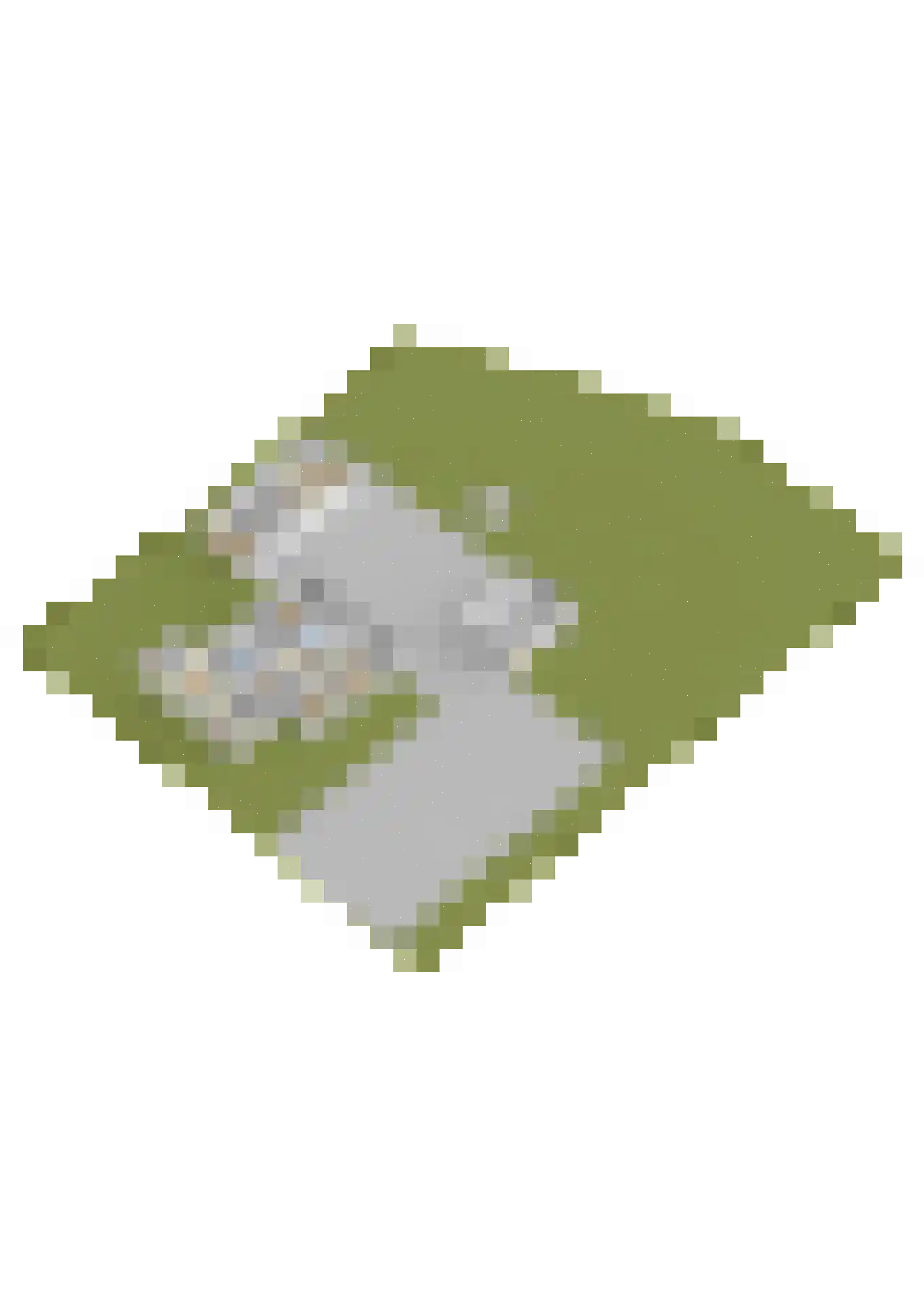 Veenakkers 23 Gieterveen thumbnail 109